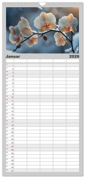 Produktbild: Familienplaner 2026 - Orchideen - farbenfroh durchs Jahr mit 5 Spalten (Wandkalender, 21 x 45 cm) CALVENDO
