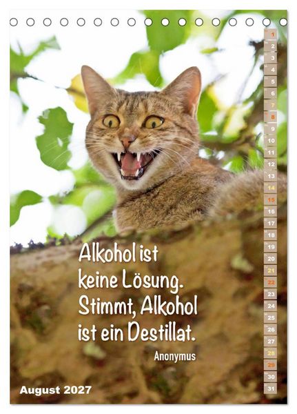 Produktbild: Der literarische Katerkalender (Tischkalender 2027 DIN A5 hoch), CALVENDO Monatskalender