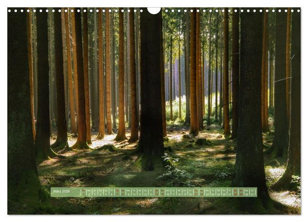 Produktbild: Zauber des Lichts (Wandkalender 2026 DIN A3 quer), CALVENDO Monatskalender