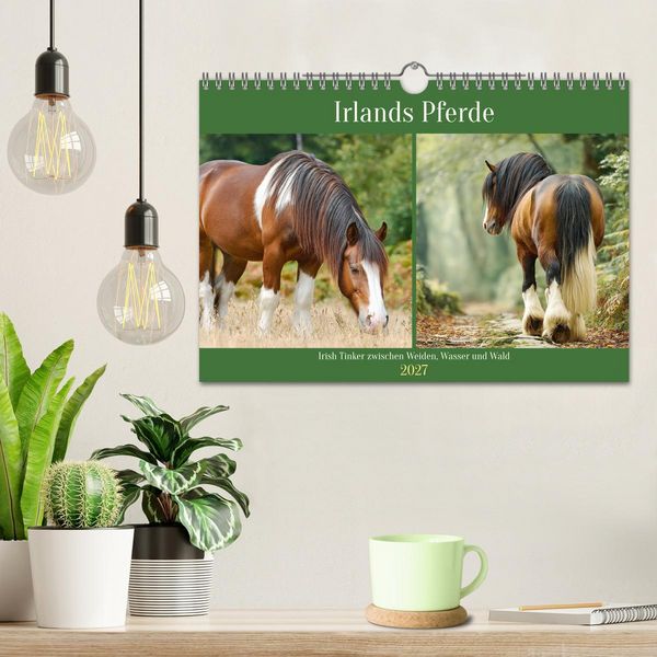 Produktbild: Irlands Pferde. Irish Tinker zwischen Weiden, Wasser und Wald (Wandkalender 2027 DIN A4 quer), CALVENDO Monatskalender