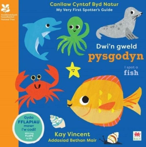 Produktbild: Dwi'n Gweld Pysgodyn / I Spot a Fish
