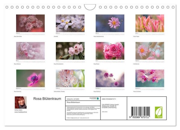 Produktbild: Rosa Bl&uuml;tentraum (Wandkalender 2027 DIN A4 quer), CALVENDO Monatskalender