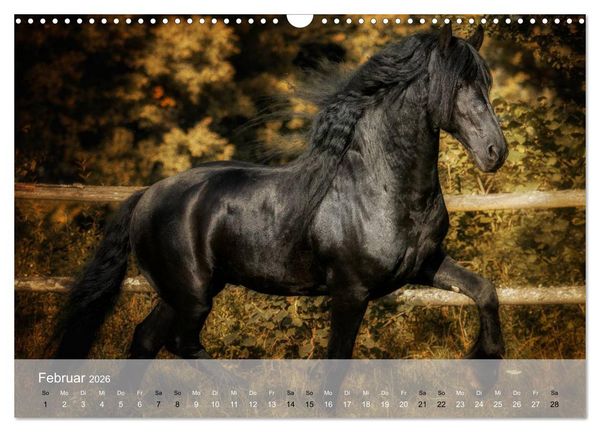 Produktbild: Pferde - Anmut und St&auml;rke gepaart mit Magie (Wandkalender 2026 DIN A3 quer), CALVENDO Monatskalender