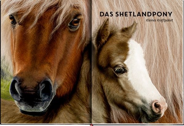 Produktbild: Lebensgro&szlig; - Pferde aus aller Welt