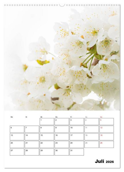 Produktbild: Farben der Natur (hochwertiger Premium Wandkalender 2026 DIN A2 hoch), Kunstdruck in Hochglanz