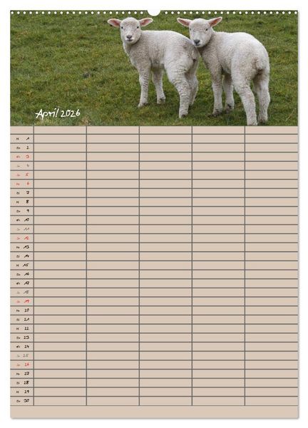 Produktbild: Der bel&auml;mmerte Familienplaner (Wandkalender 2026 DIN A2 hoch), CALVENDO Monatskalender