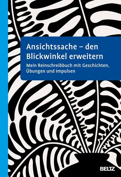 Ansichtssache - den Blickwinkel erweitern, Taschenbuch von Susanne Büscher, Beltz Verlagsgruppe GmbH & Co. KG, 9783621289986