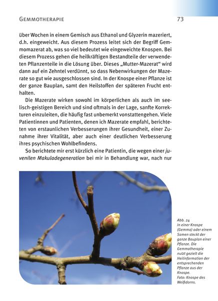 Produktbild: Makuladegeneration - Diabetische Retinopathie