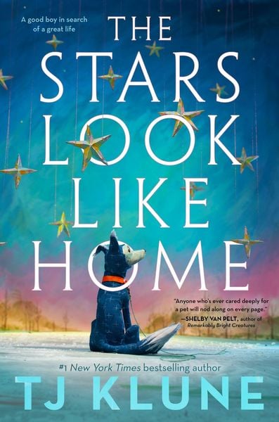 Produktbild: Stars Look Like Home