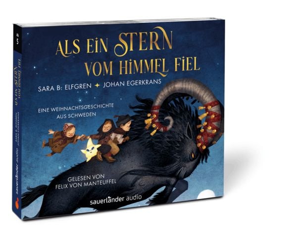 Produktbild: Als ein Stern vom Himmel fiel