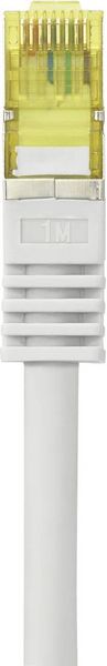 Produktbild: Renkforce RF-4149864 RJ45 Patchkabel CAT 6a (Rohkabel CAT 7) S/FTP 1.00 m Grau mit Rastnasenschutz, Flammwidrig 1 St.