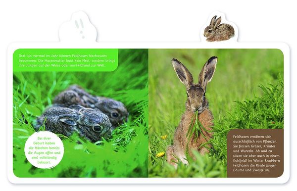Produktbild: Der Hase