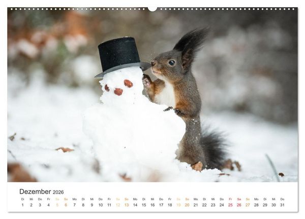 Produktbild: Geheimes Waldleben (Wandkalender 2026 DIN A2 quer), CALVENDO Monatskalender