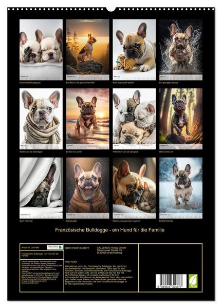 Produktbild: Franz&ouml;sische Bulldogge - ein Hund f&uuml;r die Familie (hochwertiger Premium Wandkalender 2026 DIN A2 hoch), Kunstdruck in Hochglanz