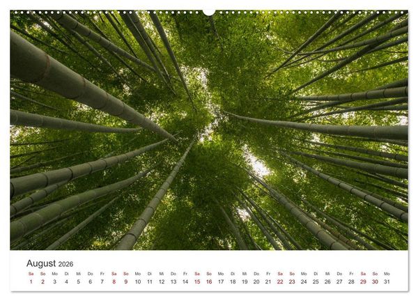 Produktbild: Japanischer Herbst und Laub (Wandkalender 2026 DIN A2 quer), CALVENDO Monatskalender