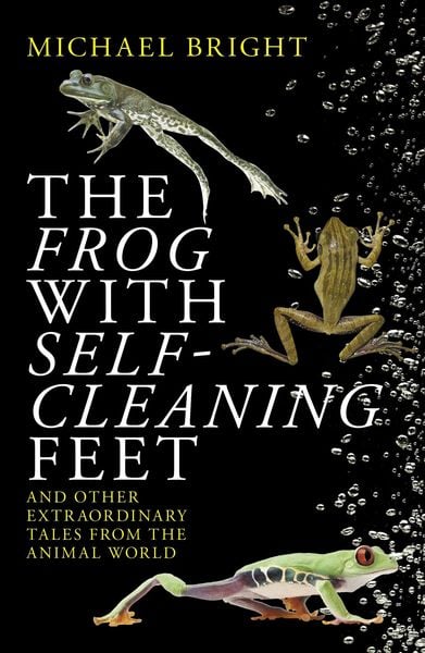 Produktbild: The Frog with Self-Cleaning Feet