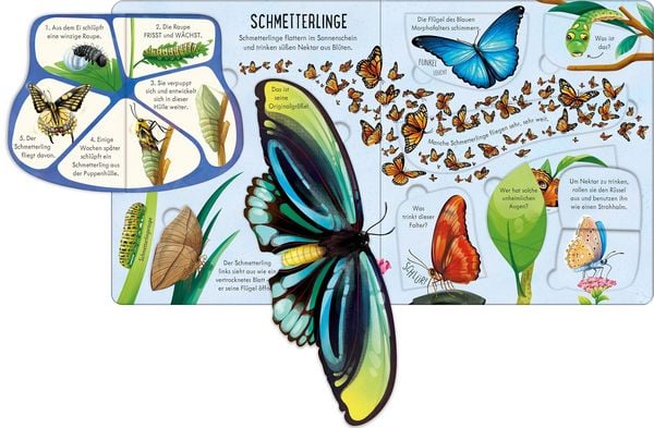 Produktbild: Aufklappen und Entdecken: Das Leben der Krabbeltiere