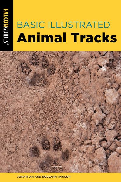 Produktbild: Basic Illustrated Animal Tracks