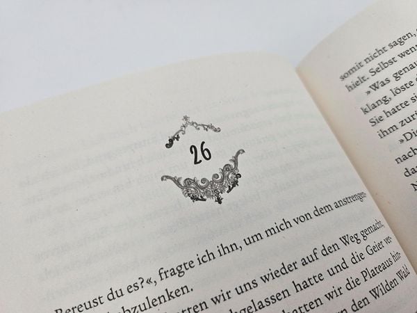 Produktbild: Night of Shadows and Flames &ndash; Die Ewige Nacht