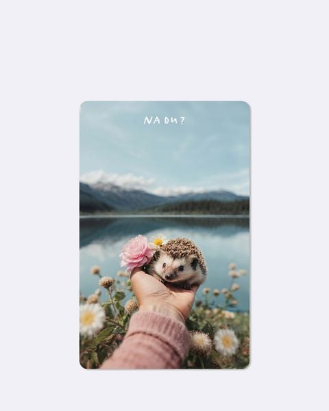 Produktbild: Lunacard Postkarte *Igel