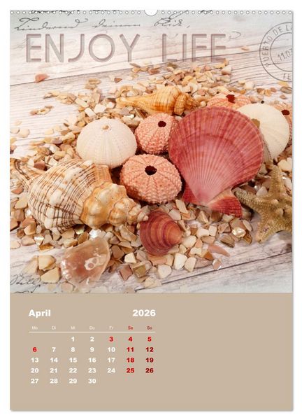 Produktbild: Geschenke vom Meer (Wandkalender 2026 DIN A2 hoch), CALVENDO Monatskalender