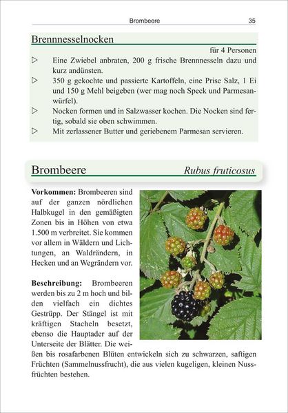 Produktbild: Essbare Wildpflanzen