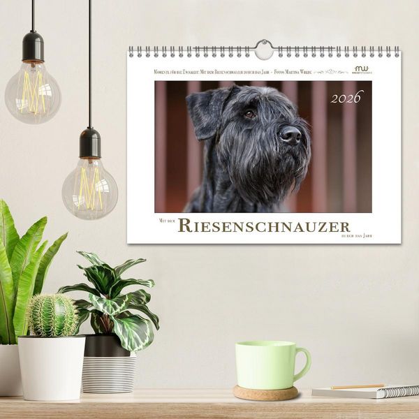 Produktbild: Mit dem Riesenschnauzer durch das Jahr (Wandkalender 2026 DIN A4 quer), CALVENDO Monatskalender