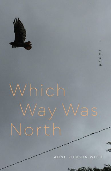 Produktbild: Which Way Was North