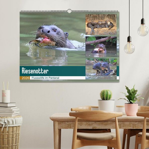 Produktbild: Riesenotter - Flussw&ouml;lfe im Pantanal (Wandkalender 2026 DIN A2 quer), CALVENDO Monatskalender