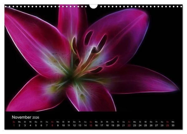Produktbild: Floral Abstrakt 2026 (Wandkalender 2026 DIN A3 quer), CALVENDO Monatskalender