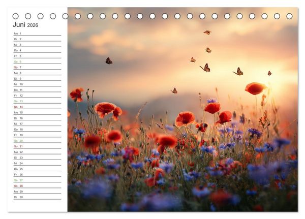 Produktbild: Gr&uuml;ne Zukunft (Tischkalender 2026 DIN A5 quer), CALVENDO Monatskalender