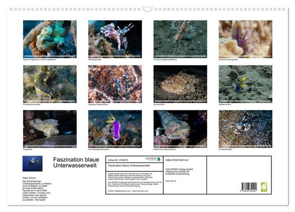 Produktbild: Faszination blaue Unterwasserwelt (Wandkalender 2027 DIN A2 quer), CALVENDO Monatskalender
