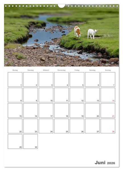 Produktbild: Schottland f&uuml;r Naturliebhaber (Wandkalender 2026 DIN A3 hoch), CALVENDO Monatskalender