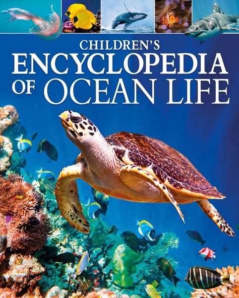 Produktbild: Children's Encyclopedia of Ocean Life