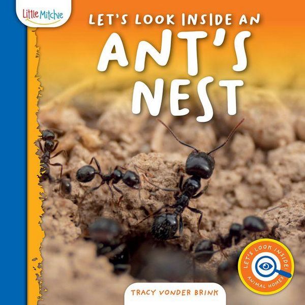 Produktbild: Let's Look Inside an Ant's Nest