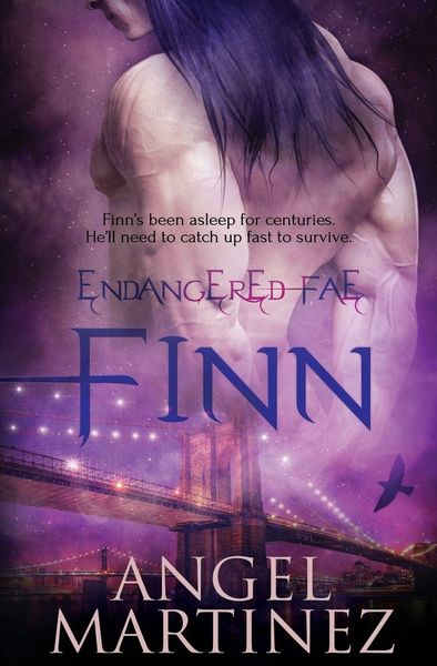 Produktbild: Finn