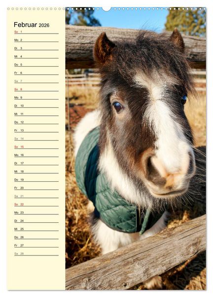 Produktbild: Zauber der Ponys. Kleine Pferde in der Natur (hochwertiger Premium Wandkalender 2026 DIN A2 hoch), Kunstdruck in Hochglanz