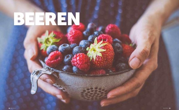 Konfitüre, Marmelade und Gelee