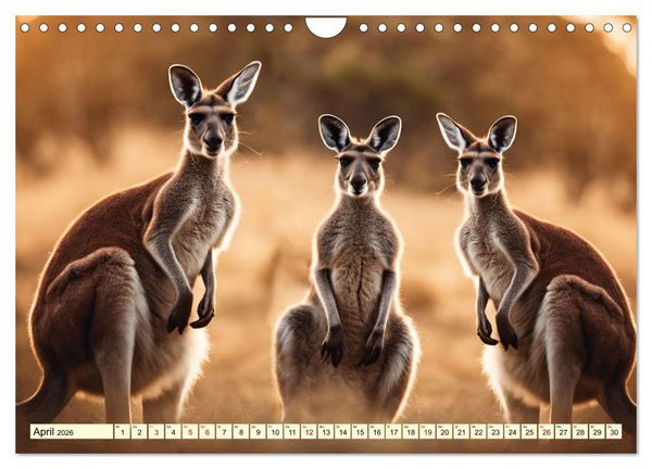 Produktbild: Australiens faszinierende Fauna (Wandkalender 2026 DIN A4 quer), CALVENDO Monatskalender