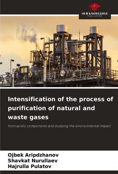 Produktbild: Intensification of the process of purification of natural and waste gases