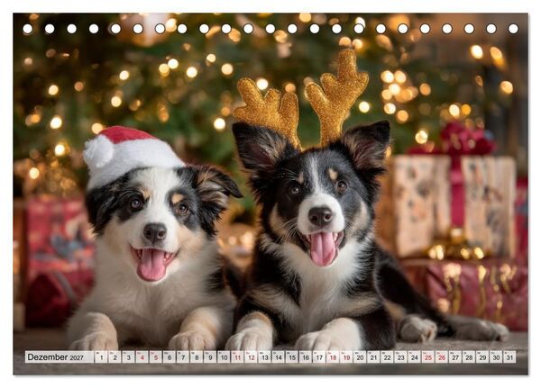 Produktbild: Border Collie - Magische Augenblicke (Tischkalender 2027 DIN A5 quer), CALVENDO Monatskalender