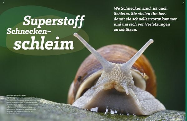 Produktbild: WAS IST WAS Schleim. Eklig? Nein, genial!
