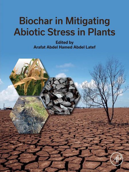 Produktbild: Biochar in Mitigating Abiotic Stress in Plants