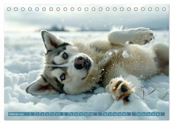 Produktbild: Schlittenhund Tr&auml;ume (Tischkalender 2026 DIN A5 quer), CALVENDO Monatskalender