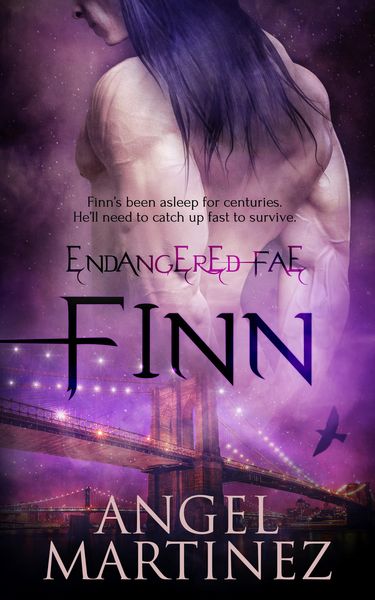 Produktbild: Finn