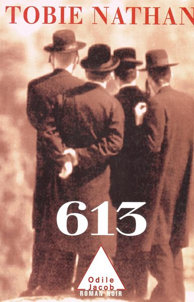 Produktbild: 613