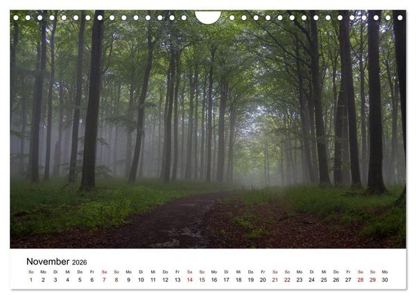 Produktbild: Traumhaftes R&uuml;gen (Wandkalender 2026 DIN A4 quer), CALVENDO Monatskalender