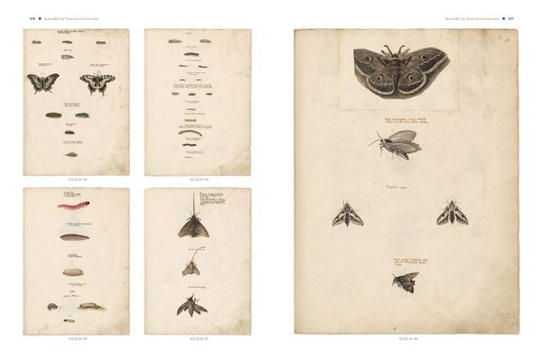 Produktbild: Conrad Gessners Thierbuch