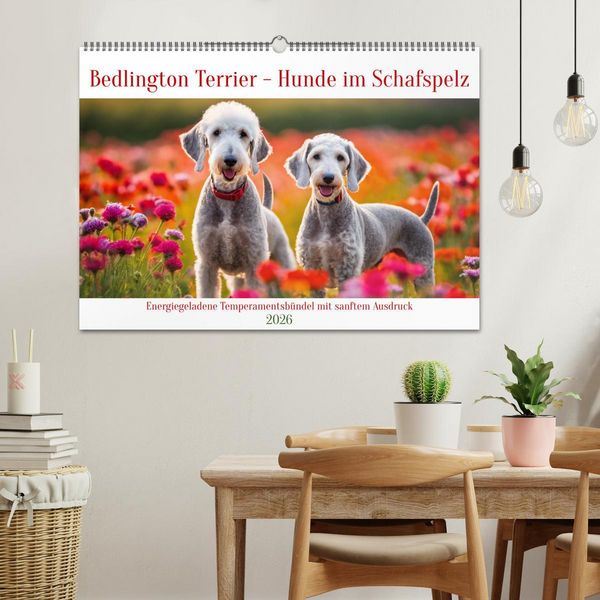 Produktbild: Bedlington Terrier - Hunde im Schafspelz (Wandkalender 2026 DIN A2 quer), CALVENDO Monatskalender