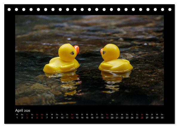 Produktbild: Enten-Rennen (Tischkalender 2026 DIN A5 quer), CALVENDO Monatskalender